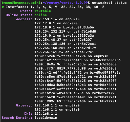 screenshot of networkctl status command