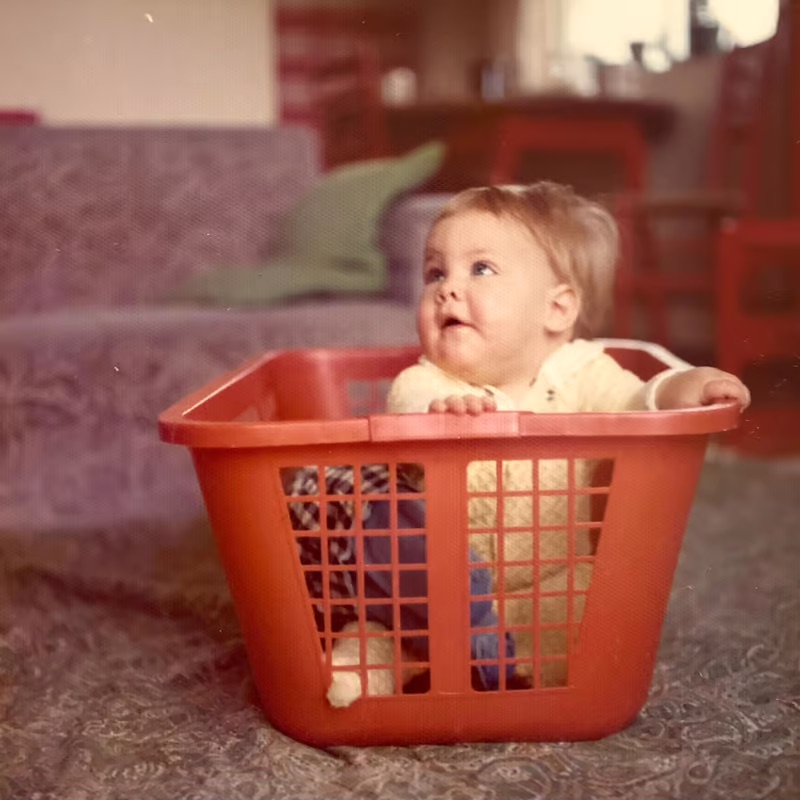 Boris in a red laundry basket