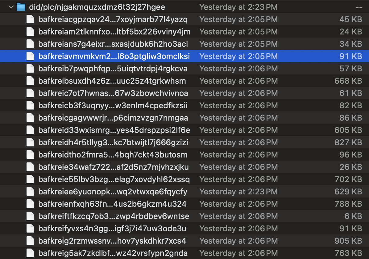 Cropped screenshot of Mac Finder window with a did/plc/njg... folder open, showing alist of bafk... named files